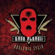 ((((STACH Z ALBANI))))